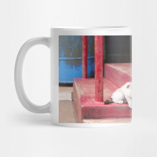 Smol kitty Mug